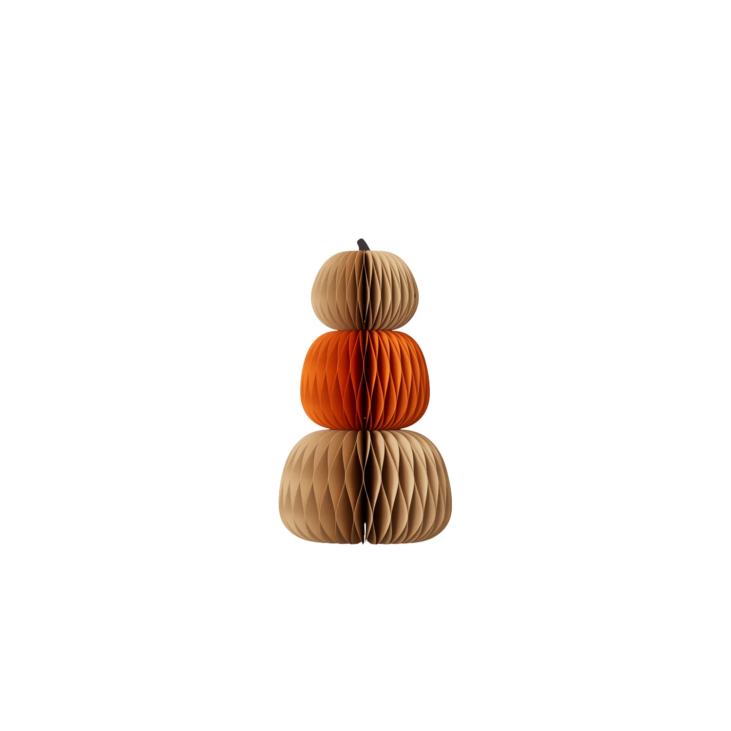 Autumn Orange Ribbed Silhouette & Paper Stem Detail